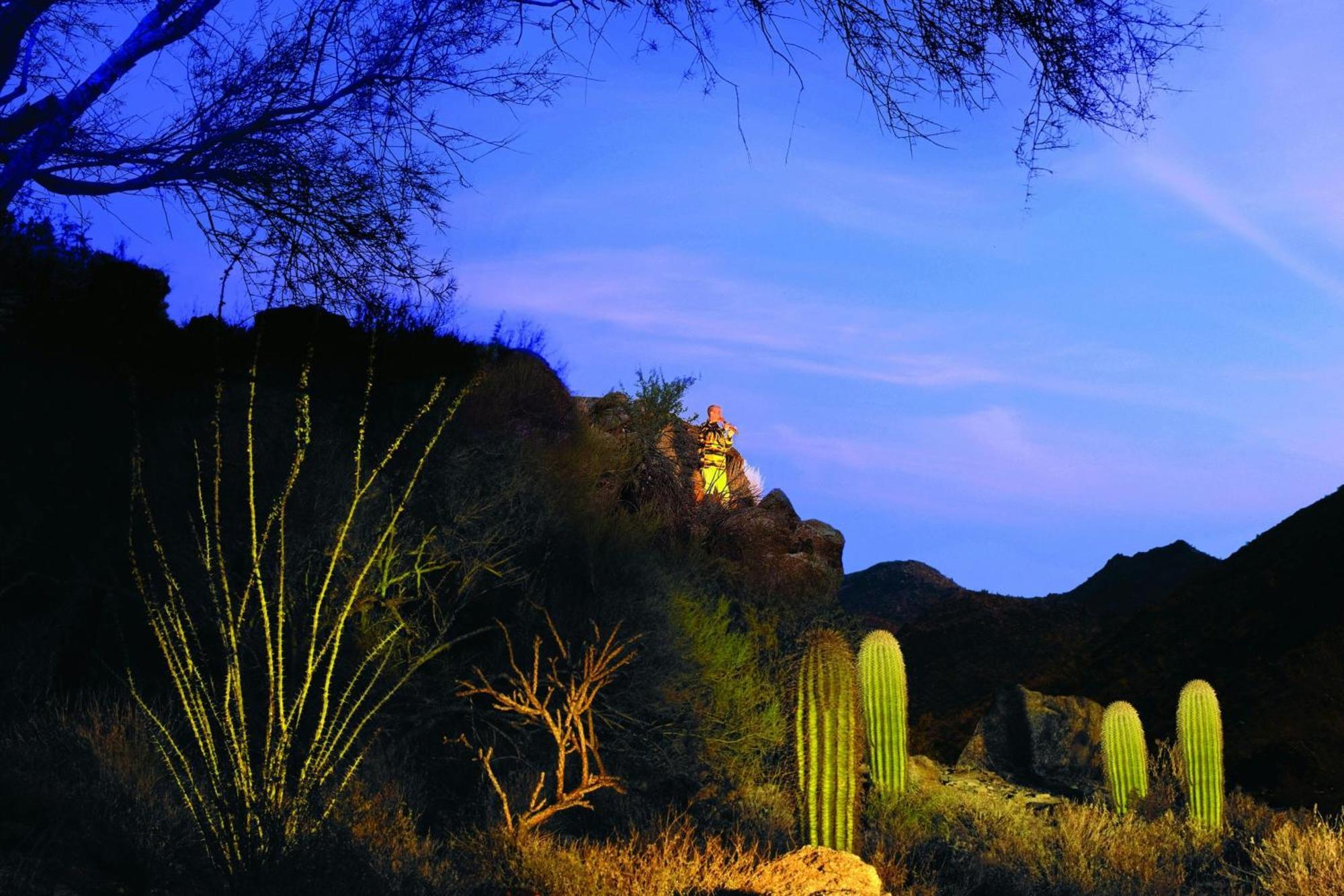 Hotel The Ritz-Carlton, Dove Mountain à Marana Extérieur photo